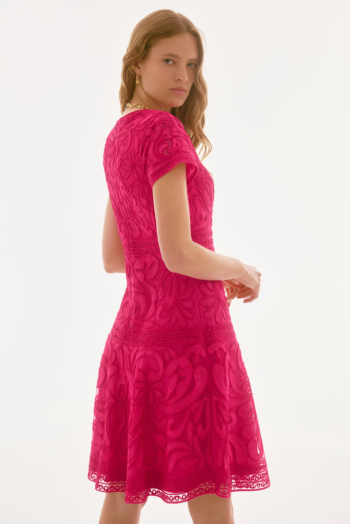 Joseph Ribkoff Embroidered Mesh Fit and Flare Dress Geranium 