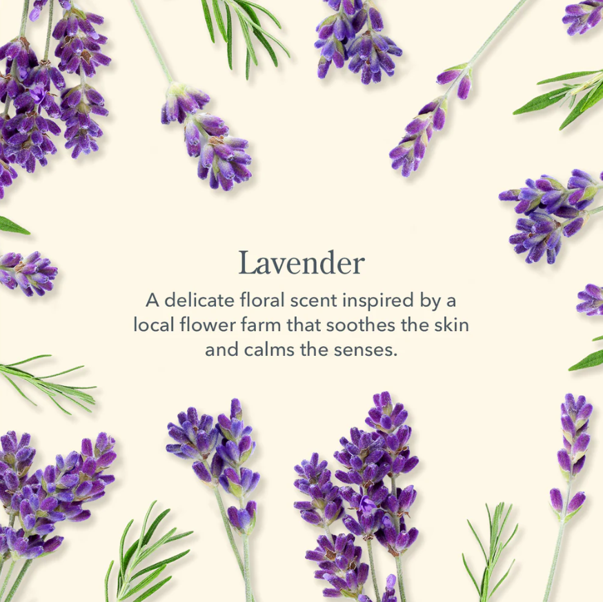 Beekman 1802 Lavender Hand Cream & Lip Balm Set – Daisy Trading Co.