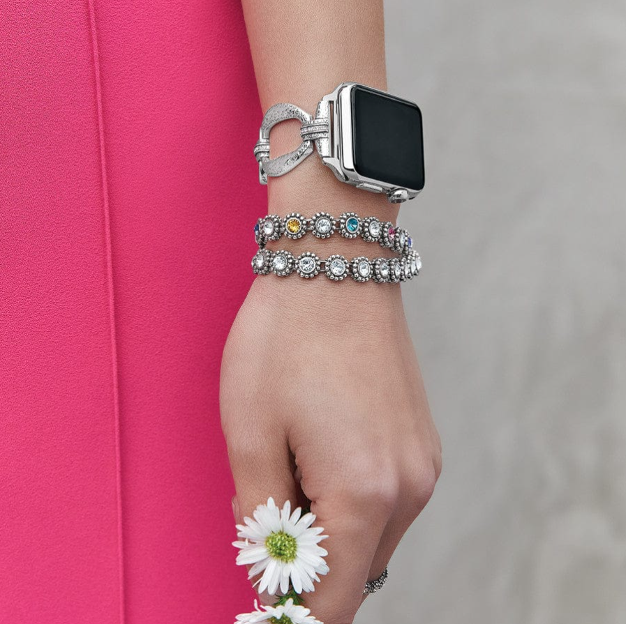 Apple Watch Bands - Brighton