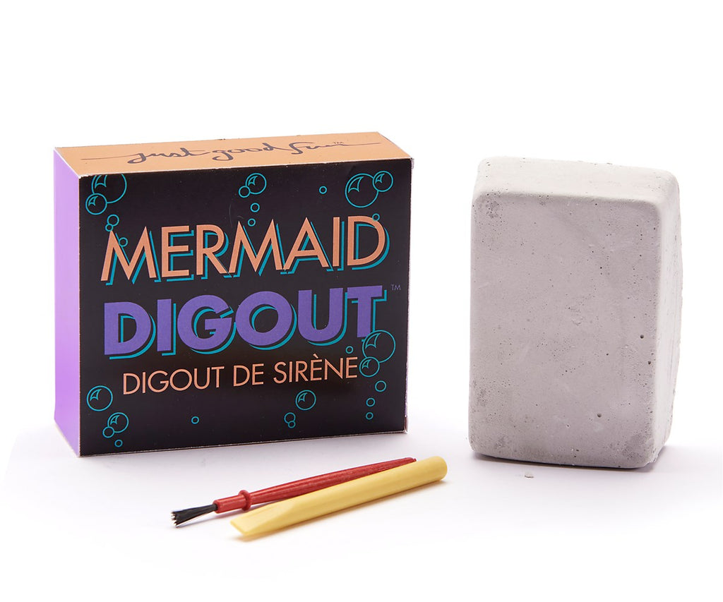 Dig Out Mermaid Kit