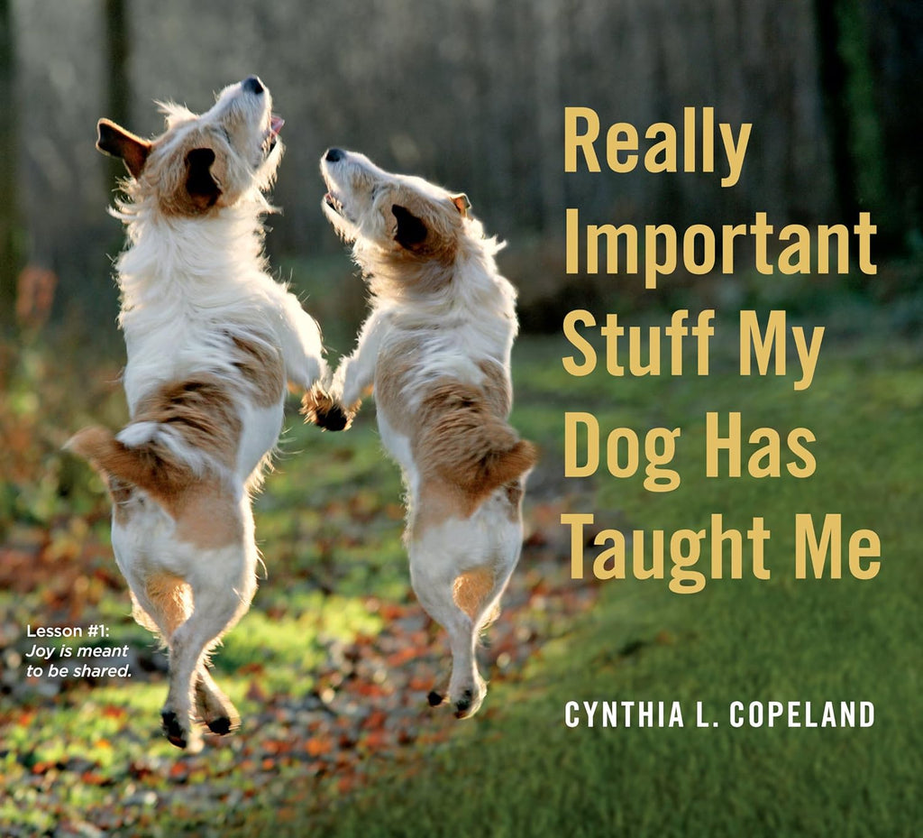 Really Important Stuff My Dog Has Taught Me - By Cynthia Copeland