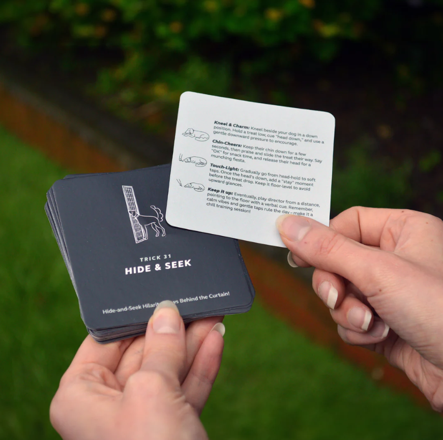 Step-by-step dog trick card close-up with illustrations