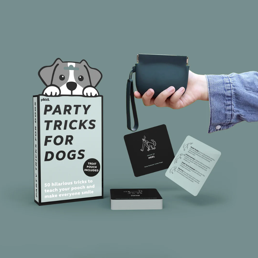 Party Tricks for Dogs kit with cards and treat pouch
