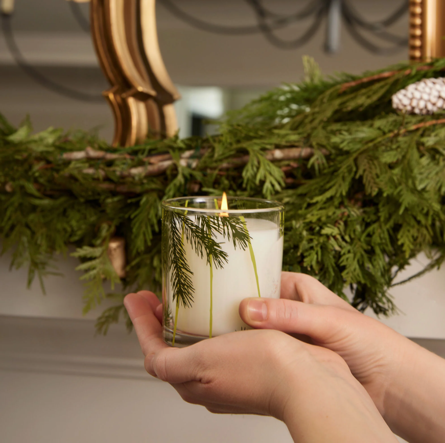 Thymes Boxed Candle - 6.5oz. Fraiser Fir Pine Needles