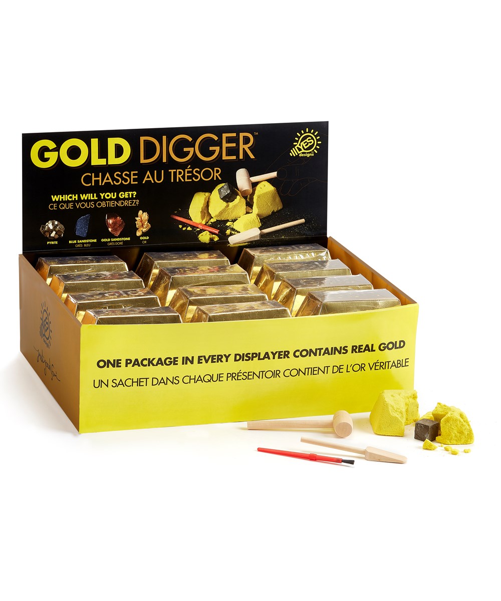 Digging For Gold Dig Kit - Scholastic Shop