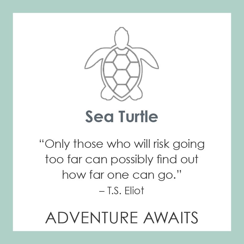 Lola Jewelry Sea Turtle Pendant: Adventure Awaits