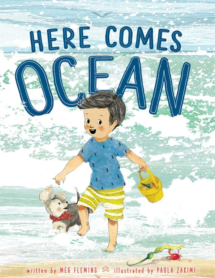 Simon & Schuster Here Comes Ocean - By Meg Fleming