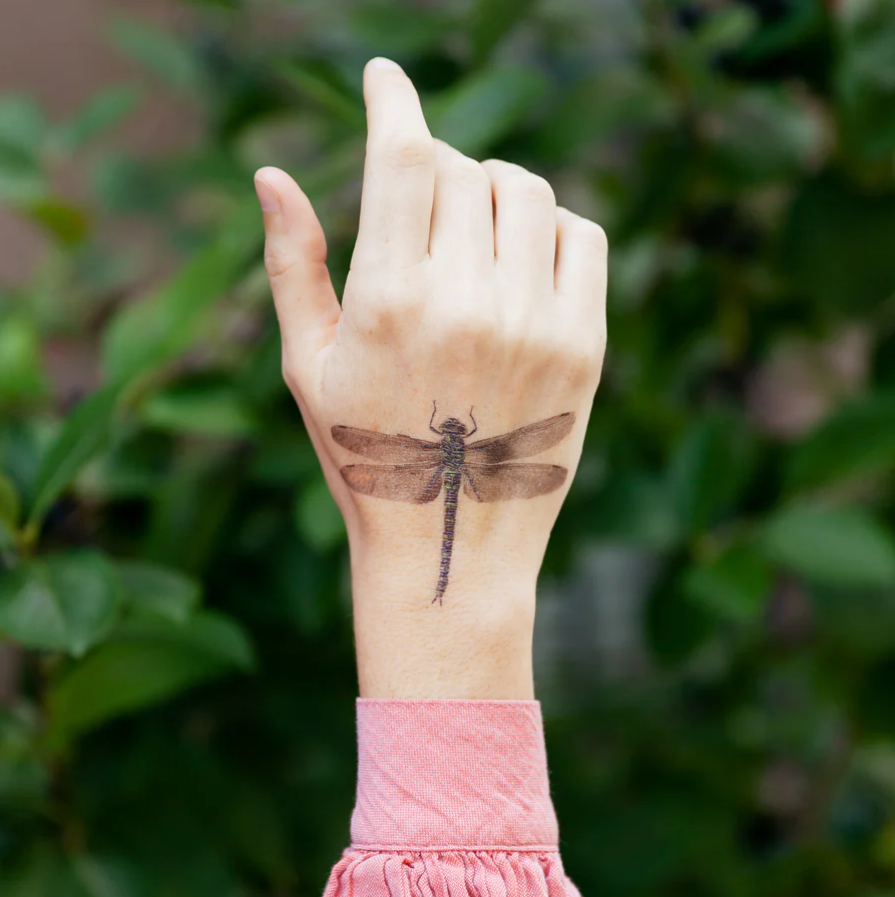 Dragonfly Tattoo Design On Wrist  Tattoo Designs Tattoo Pictures